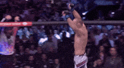 Mixed Martial Arts Sport GIF by UFC