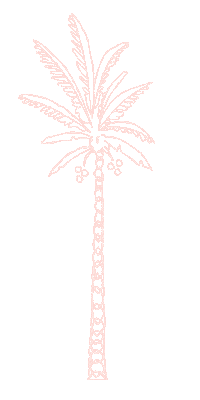 Palm Tree Travel Sticker by Spell & The Gypsy Collective