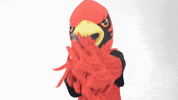 Coop Scarlet GIF by Saginaw Valley State University