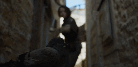 arya stark GIF