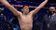Sport Mma GIF by UFC