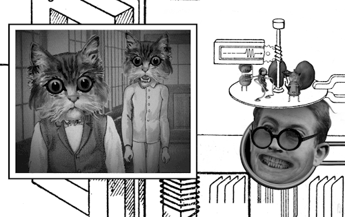 colinraff giphyupload weird creepy surreal GIF