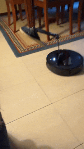 misstakanawa giphyupload GIF