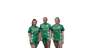 hvgwwerder handballinwerderhavel diestärkstehandimhavelland GIF