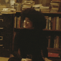 Cheers Mangrove GIF by Amazon Prime Video