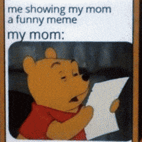 Mbss meme show bear mom GIF