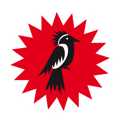 OeTTINGER bier mate brauerei oettinger Sticker