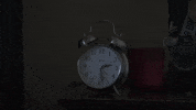 Music Video Rabbit GIF by The Dollyrots