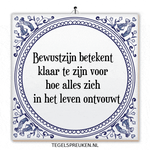 Moment Nl GIF by Tegelspreuken.nl