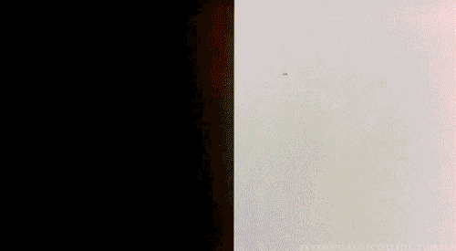 requiem for a dream GIF