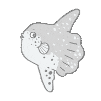 natellequek new kawaii new post ocean Sticker