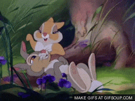 twitter GIF