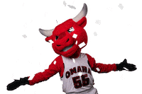 Confetti Win Sticker by UNO Mavericks