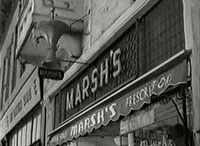 martin milner wood GIF