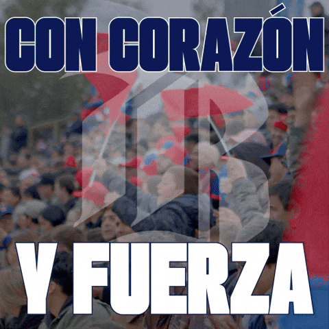 Elbancodelrugby GIF by Banco de  Chile