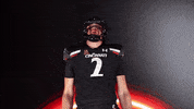 University Of Cincinnati Uc GIF by Cincinnati Bearcats