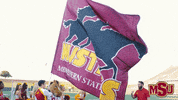 MSUTexas college flag university msu GIF