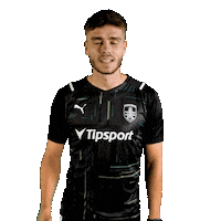 Football Thumbs Up Sticker by Fortuna Liga