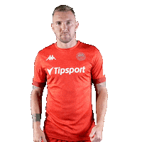 Liptovsky Mikulas Thumbs Up Sticker by Fortuna Liga