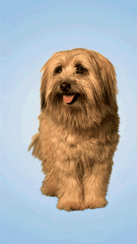 Ball Auto GIF by Zurich Schweiz