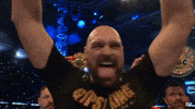 Tyson Fury Knockout GIF by Top Rank Boxing