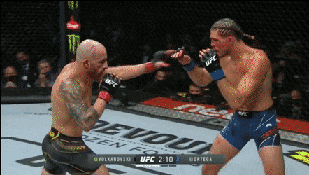 pecanac giphyupload GIF