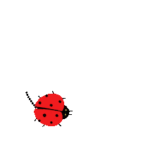 rorodinar animal bug bugs Sticker