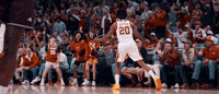 Hook Em GIF by Texas Longhorns