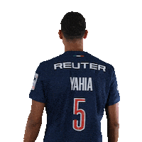 Sport Psg Sticker by Paris Saint-Germain Handball