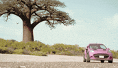 Hip Hop Running GIF by Bejo Flow