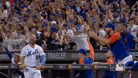 Celebrate Ny Mets GIF by New York Mets