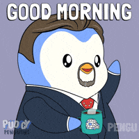 Good Morning Hello GIF by Pudgy Penguins