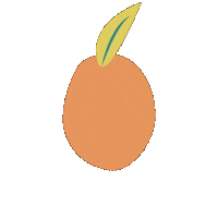 kelseyklos orange fruit peach kelseyklos Sticker