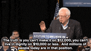 hillary clinton news GIF