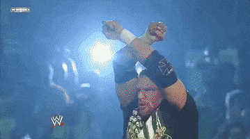 triple h wrestling GIF by WWE