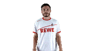 jonas hector soccer Sticker by 1. FC Köln