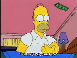 homer simpson GIF