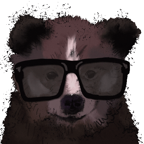 Bear Glasses Sticker