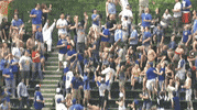 mlb GIF by SB Nation