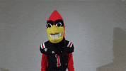 Lets Go Dancing GIF by Ball State University