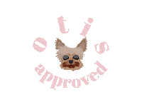 poshboutiquebr posh poshboutique Sticker