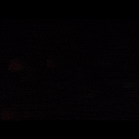 Vikings Tbs GIF by THE BEARD STRUGGLE
