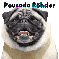 Monteverde Sticker by Amora Pug Brasil
