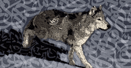 Art Love GIF