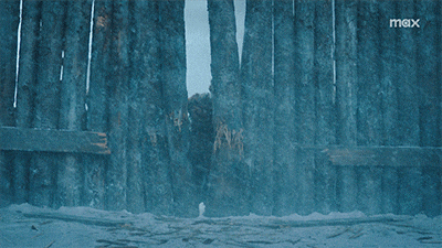 The Last Of Us Wall GIF by HBO Max