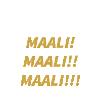 Floorball Salibandy Sticker by EräViikingit