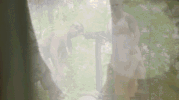 trippy GIF by Aftermath TV