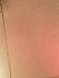 framebeta GIF