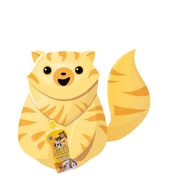 Labud_hr giphyupload happy funny cat Sticker