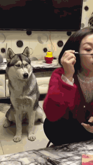 cuteanimalland giphyupload GIF